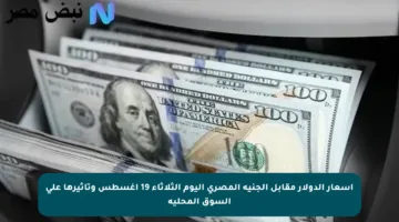 أسعار الدولار مقابل الجنيه المصري اليوم الثلاثاء 19 أغسطس وتأثيرها على السوق المحلية